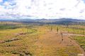 Property photo of 63 Eucalypt Glde Cobraball QLD 4703