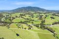 Property photo of 8217 Princes Highway Central Tilba NSW 2546