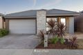 Property photo of 36 Jacana Way Armstrong Creek VIC 3217