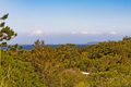 Property photo of 13 Putta Place Ocean Shores NSW 2483