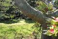 Property photo of 28 Childe Street Byron Bay NSW 2481