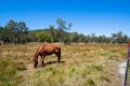 Property photo of 717 Dingo Beach Road Gregory River QLD 4800
