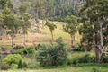 Property photo of 24 Tamika Terrace Hadspen TAS 7290