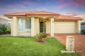 Property photo of 29 Nutmeg Drive Griffin QLD 4503