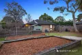 Property photo of 43 Shetland Drive Wantirna VIC 3152