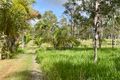 Property photo of 95 McLeans Bridge Road Julatten QLD 4871