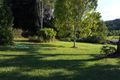 Property photo of 175 Cockram Road Ravenshoe QLD 4888