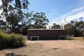 Property photo of 53 Tree Street Katanning WA 6317