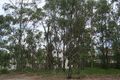 Property photo of 1304/2 Resort Drive Coffs Harbour NSW 2450