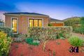 Property photo of 44 Azure Drive Tarneit VIC 3029
