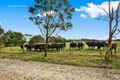 Property photo of 101 Black Spring Road High Range NSW 2575