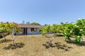 Property photo of 12 Capricornia Drive Calliope QLD 4680