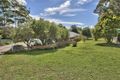 Property photo of 3 Tumbi Road Tumbi Umbi NSW 2261