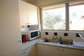 Property photo of 17 George Street North Strathfield NSW 2137