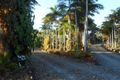 Property photo of 9 Meadow Road Julatten QLD 4871