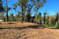 Property photo of 2 Thompson Drive Tathra NSW 2550