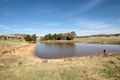 Property photo of 1184 Gregadoo East Road Gregadoo NSW 2650