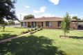 Property photo of 195 Algalah Street Narromine NSW 2821