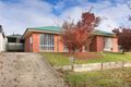 Property photo of 49 Nightingale Avenue West Wodonga VIC 3690