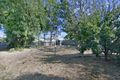 Property photo of 86 West Parkway Colonel Light Gardens SA 5041