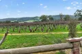 Property photo of 54 Verde Drive Myponga SA 5202