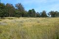 Property photo of 2 Crosswells Road Mount Lloyd TAS 7140