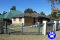 Property photo of 9 Haymet Street Glenbrook NSW 2773