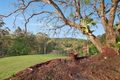 Property photo of 230 Highlands Road Eudlo QLD 4554