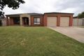 Property photo of 19 Adams Court Thurgoona NSW 2640