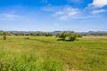 Property photo of 6 Blackwoods Road Nobbys Creek NSW 2484