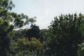 Property photo of 49 Clarke Street Peakhurst NSW 2210
