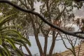 Property photo of 8/80 Hampden Road Russell Lea NSW 2046