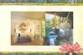 Property photo of 756 Tomewin Mountain Road Currumbin Valley QLD 4223