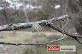 Property photo of 8358 Borden Bremer Bay Road Bremer Bay WA 6338