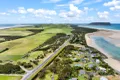 Property photo of 279 Stanley Highway Stanley TAS 7331