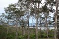 Property photo of 196 Turingal Head Road Wallagoot NSW 2550