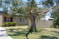 Property photo of 39 Richardson Street Pacific Paradise QLD 4564