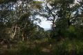 Property photo of 335-341 Pryor Road Verrierdale QLD 4562