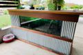 Property photo of 56 Lakkari Street Coutts Crossing NSW 2460