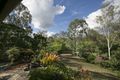 Property photo of 190 Tessellaris Trail Takilberan QLD 4671