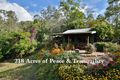 Property photo of 190 Tessellaris Trail Takilberan QLD 4671