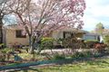 Property photo of 446 McDonald Road Lavington NSW 2641