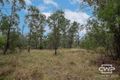 Property photo of 56 Torrington Road Torrington NSW 2371
