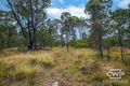 Property photo of 56 Torrington Road Torrington NSW 2371