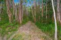 Property photo of 252 Jones Road Wooyung NSW 2483