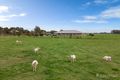 Property photo of 5 Walshes Road Catani VIC 3981