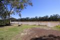 Property photo of 12309 Carnarvon Highway St George QLD 4487