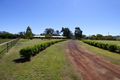 Property photo of 12309 Carnarvon Highway St George QLD 4487