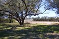 Property photo of 12309 Carnarvon Highway St George QLD 4487