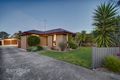 Property photo of 15 Davis Street Belmont VIC 3216